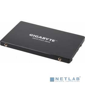 Gigabyte SSD 1TB GP-GSTFS31100TNTD {SATA3.0}
