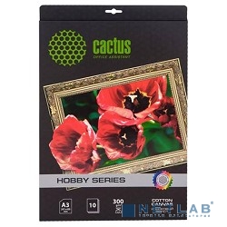 CACTUS CS-CA426010 Холст для струйной печати, A4, 300г/м2, 10 листов
