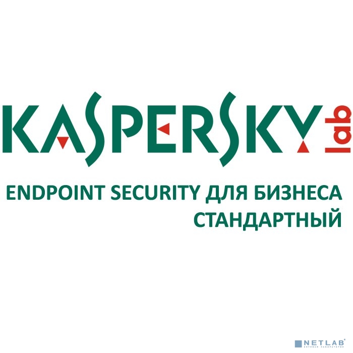 KL4863RAMFW Kaspersky Endpoint Security для бизнеса – Стандартный Cross-grade 15-19 1 year