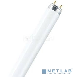 Лампа люминесцентная Osram L36W/765 G13 (упаковка 25 шт)