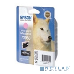 EPSON C13T09664010 Epson картридж для R2880 (Vivid Light Magenta) (cons ink)