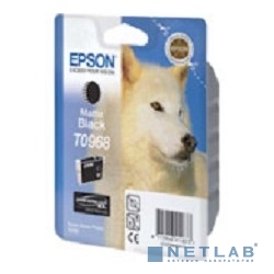 EPSON C13T09684010 Epson картридж для R2880 (Matte Black) (cons ink)